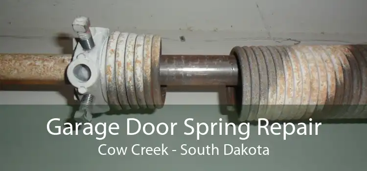 Garage Door Spring Repair Cow Creek - South Dakota