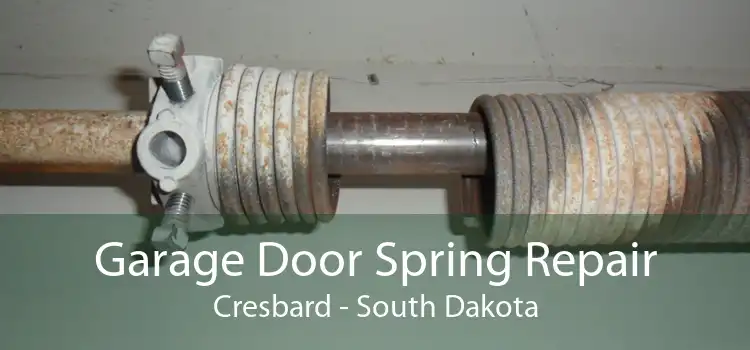 Garage Door Spring Repair Cresbard - South Dakota