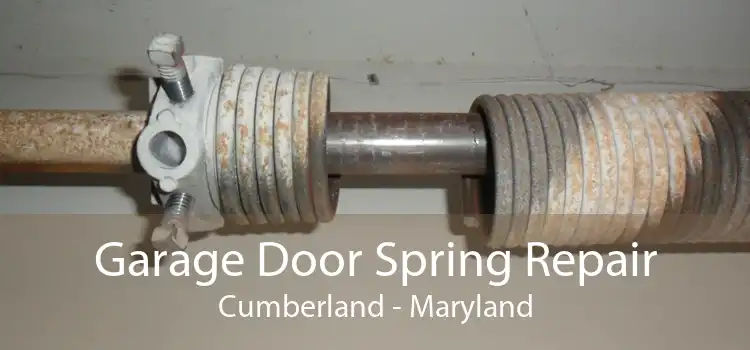 Garage Door Spring Repair Cumberland - Maryland