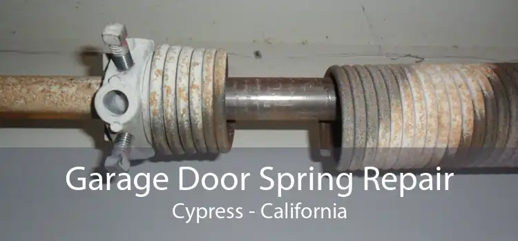 Garage Door Spring Repair Cypress - California