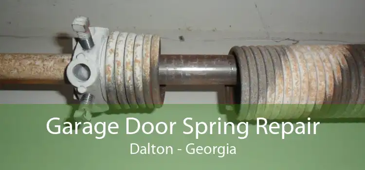 Garage Door Spring Repair Dalton - Georgia