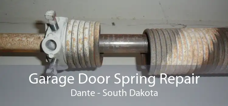 Garage Door Spring Repair Dante - South Dakota