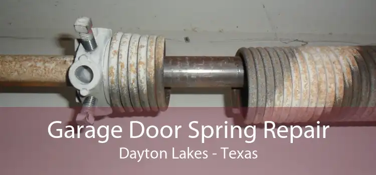 Garage Door Spring Repair Dayton Lakes - Texas