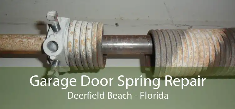 Garage Door Spring Repair Deerfield Beach - Florida