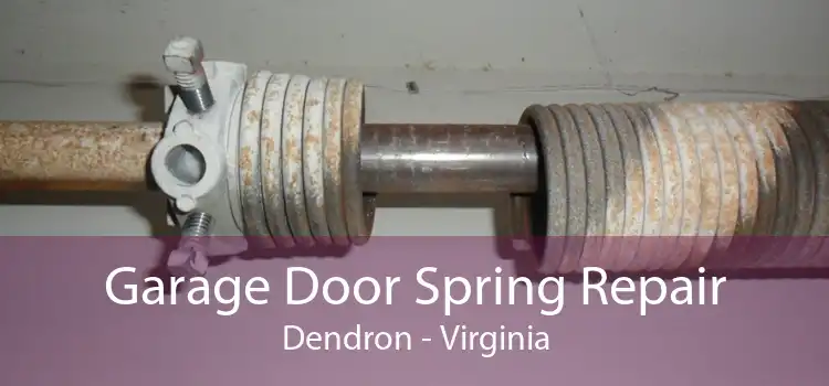 Garage Door Spring Repair Dendron - Virginia