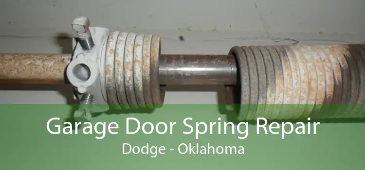 Garage Door Spring Repair Dodge - Oklahoma