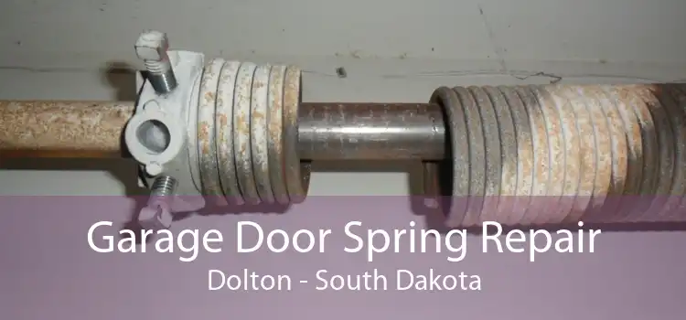 Garage Door Spring Repair Dolton - South Dakota