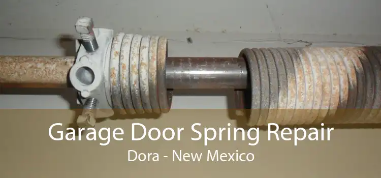 Garage Door Spring Repair Dora - New Mexico