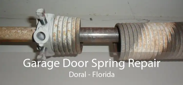 Garage Door Spring Repair Doral - Florida