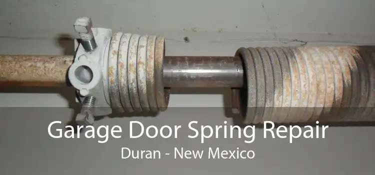 Garage Door Spring Repair Duran - New Mexico