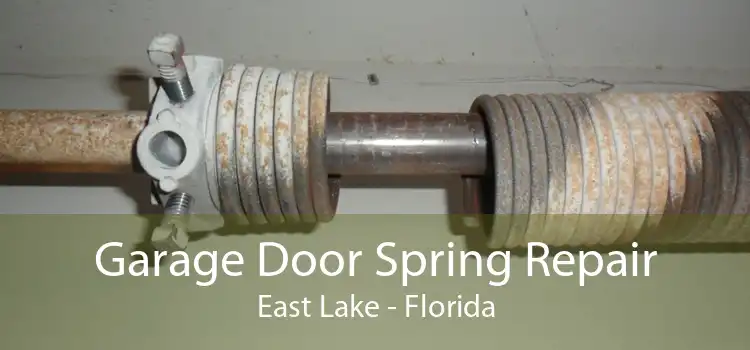 Garage Door Spring Repair East Lake - Florida