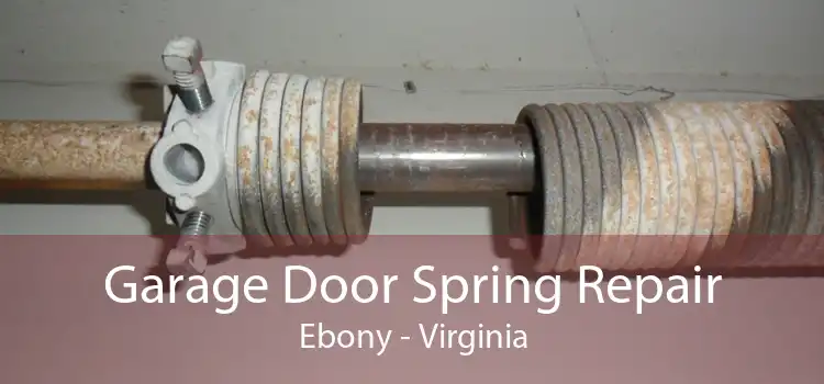 Garage Door Spring Repair Ebony - Virginia