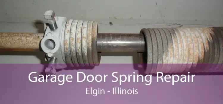 Garage Door Spring Repair Elgin - Illinois