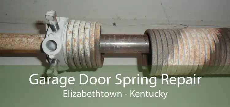 Garage Door Spring Repair Elizabethtown - Kentucky