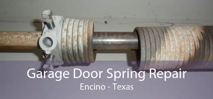 Garage Door Spring Repair Encino - Texas