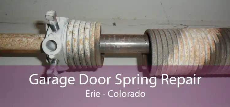 Garage Door Spring Repair Erie - Colorado