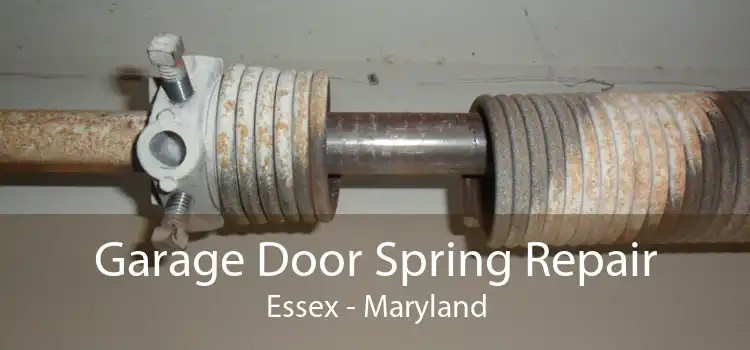 Garage Door Spring Repair Essex - Maryland