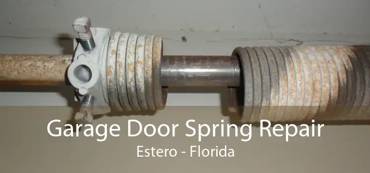 Garage Door Spring Repair Estero - Florida