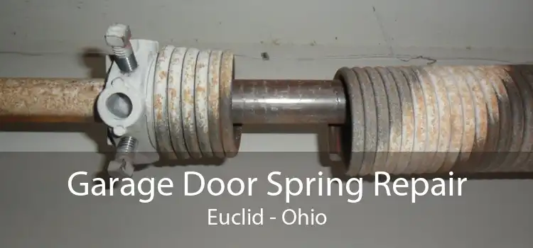 Garage Door Spring Repair Euclid - Ohio
