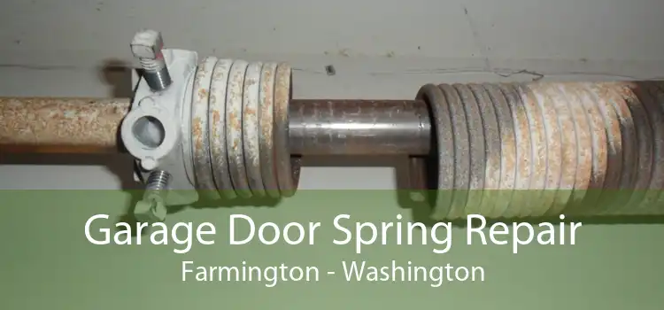 Garage Door Spring Repair Farmington - Washington