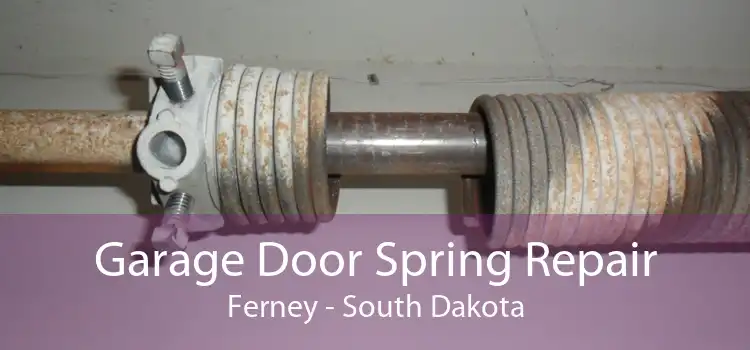 Garage Door Spring Repair Ferney - South Dakota
