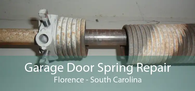 Garage Door Spring Repair Florence - South Carolina