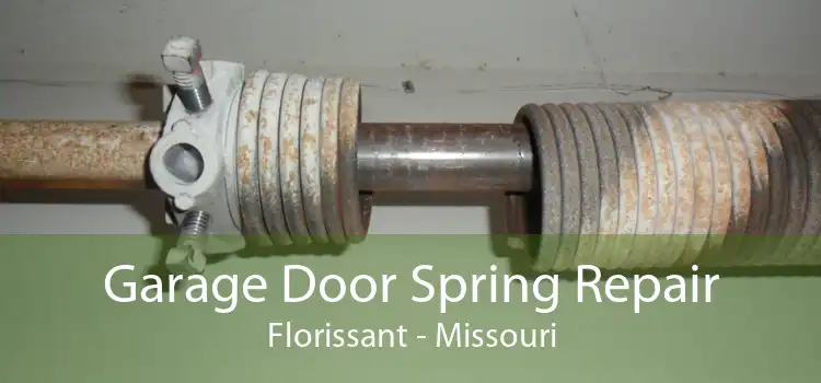 Garage Door Spring Repair Florissant - Missouri