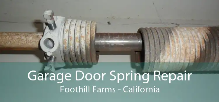 Garage Door Spring Repair Foothill Farms - California