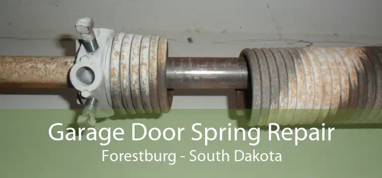 Garage Door Spring Repair Forestburg - South Dakota