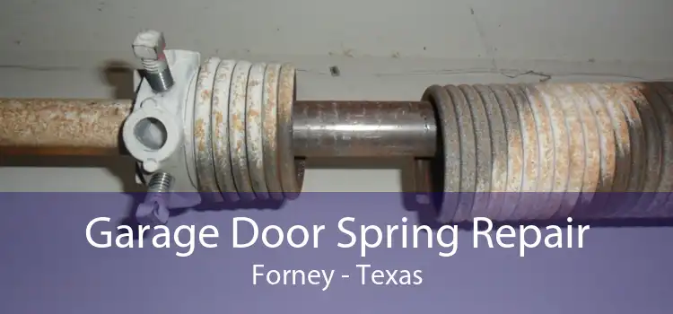 Garage Door Spring Repair Forney - Texas