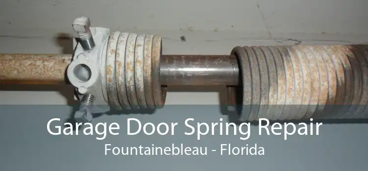 Garage Door Spring Repair Fountainebleau - Florida