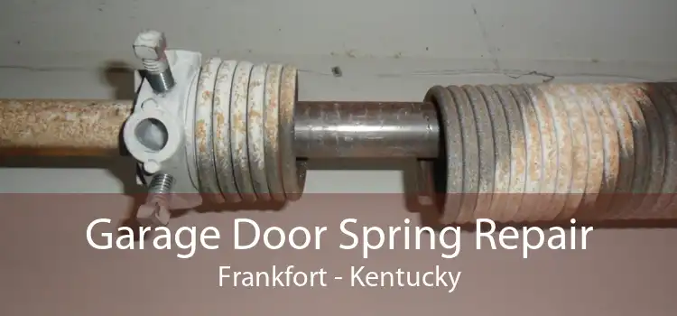 Garage Door Spring Repair Frankfort - Kentucky
