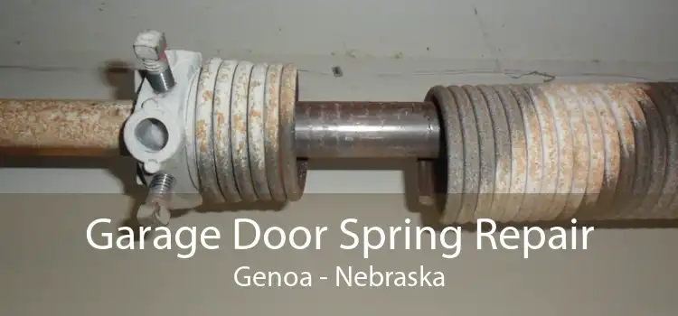 Garage Door Spring Repair Genoa - Nebraska