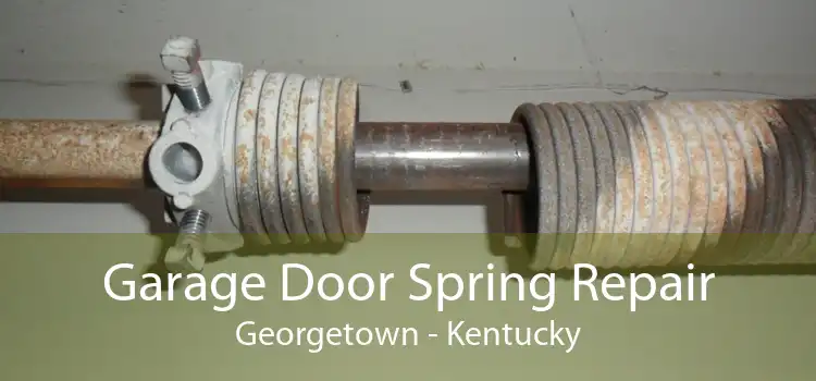 Garage Door Spring Repair Georgetown - Kentucky