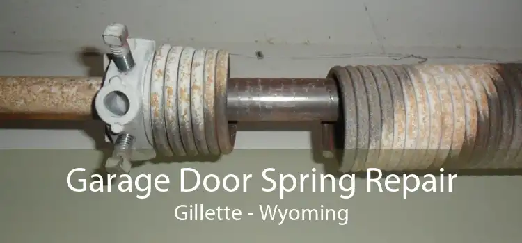 Garage Door Spring Repair Gillette - Wyoming