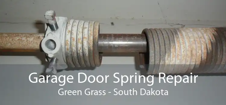 Garage Door Spring Repair Green Grass - South Dakota