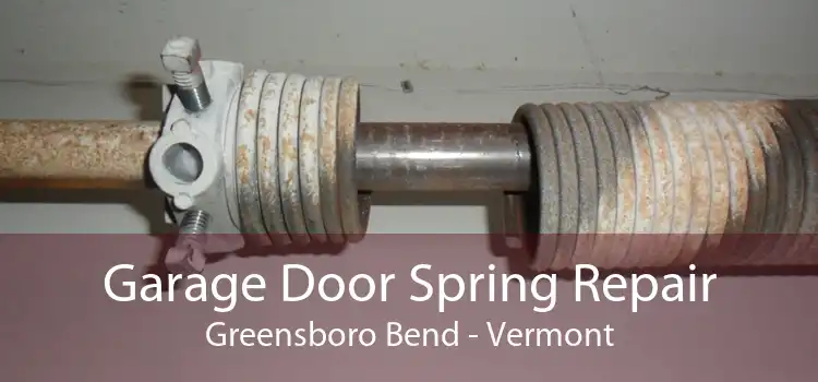 Garage Door Spring Repair Greensboro Bend - Vermont