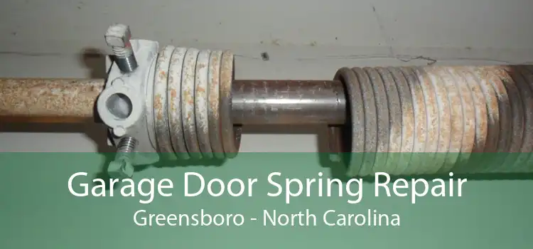 Garage Door Spring Repair Greensboro - North Carolina