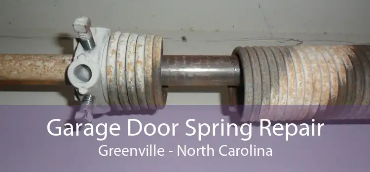 Garage Door Spring Repair Greenville - North Carolina