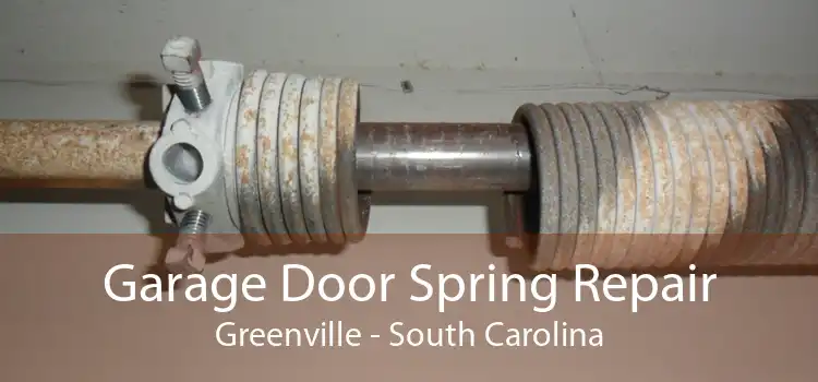 Garage Door Spring Repair Greenville - South Carolina