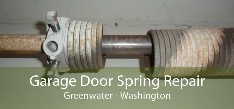 Garage Door Spring Repair Greenwater - Washington