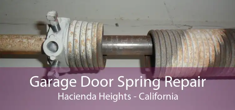 Garage Door Spring Repair Hacienda Heights - California