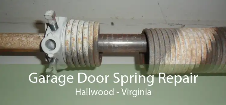 Garage Door Spring Repair Hallwood - Virginia