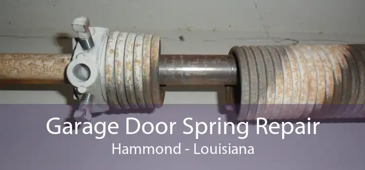 Garage Door Spring Repair Hammond - Louisiana
