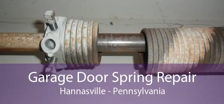 Garage Door Spring Repair Hannasville - Pennsylvania