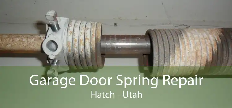 Garage Door Spring Repair Hatch - Utah
