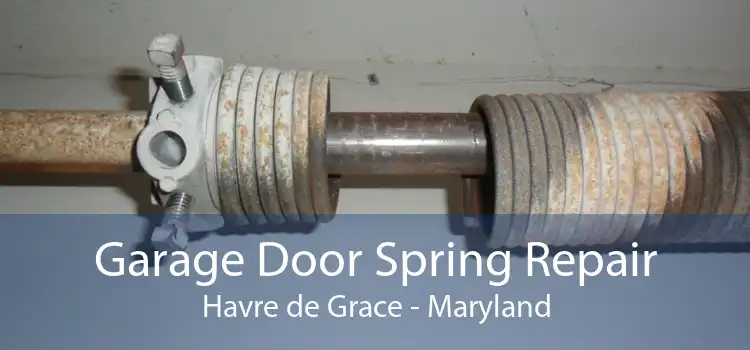Garage Door Spring Repair Havre de Grace - Maryland