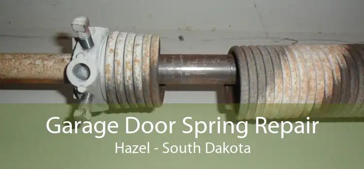 Garage Door Spring Repair Hazel - South Dakota