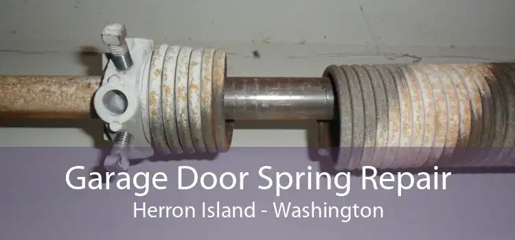 Garage Door Spring Repair Herron Island - Washington
