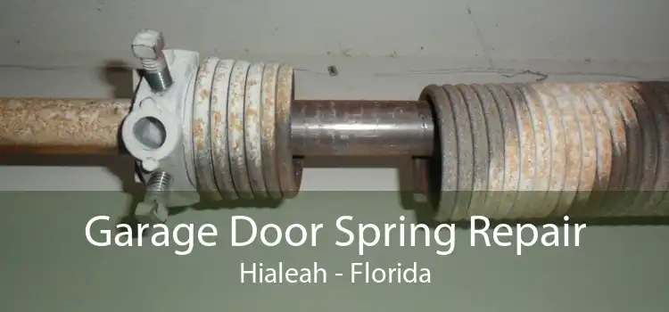 Garage Door Spring Repair Hialeah - Florida